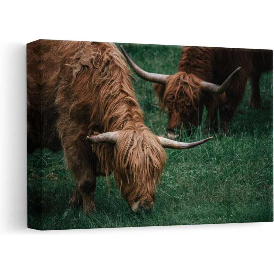Artaza - Canvas Schilderij - Twee Schotse Hooglanders grazen Gras - 30x20 - Klein - Foto Op Canvas - Canvas Print afbeelding 1