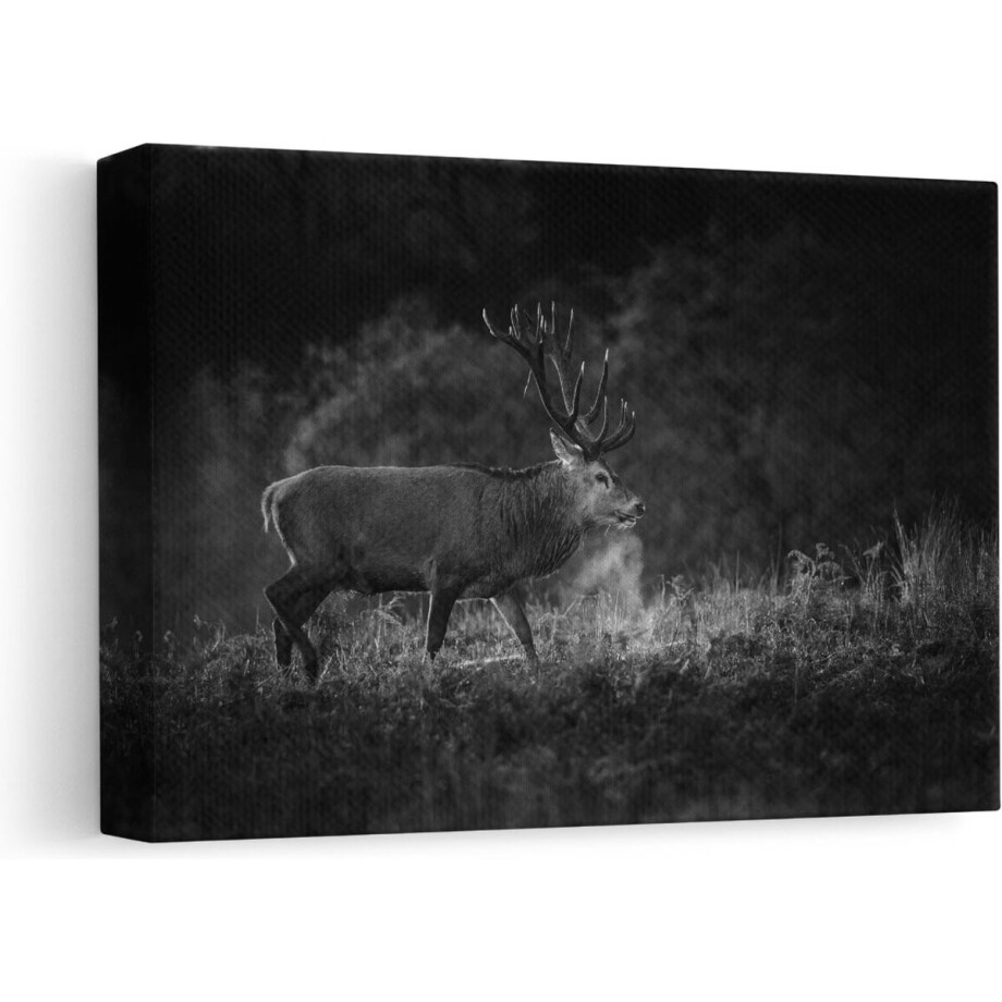 Artaza Canvas Schilderij Hert in het Gras met Mist - Zwart Wit - 30x20 - Klein - Foto Op Canvas - Canvas Print Artaza Canvas Schilderij Hert in het Gras met Mist - Zwart Wit - 30x20 - Klein - Foto Op Canvas - Canvas Print afbeelding 1