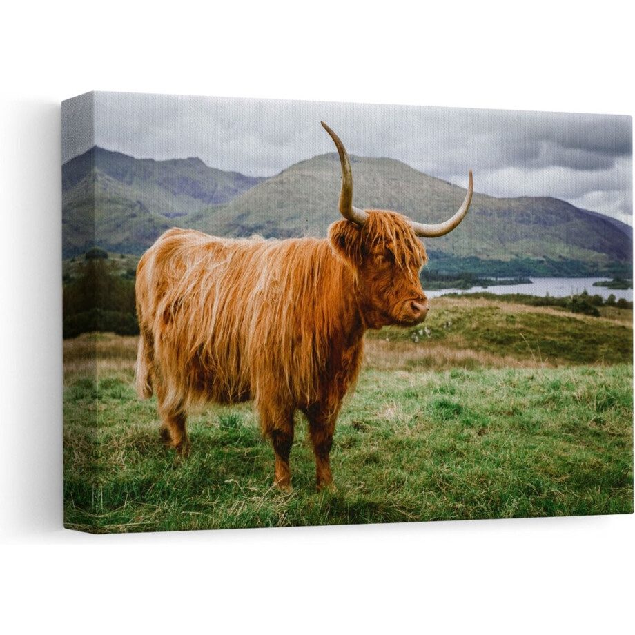 Artaza Canvas Schilderij Hooglander - 30x20 cm - Klein - Wanddecoratie Schotse Hooglander - Muurdecoratie Natuur - Kamer Accessoires afbeelding 1