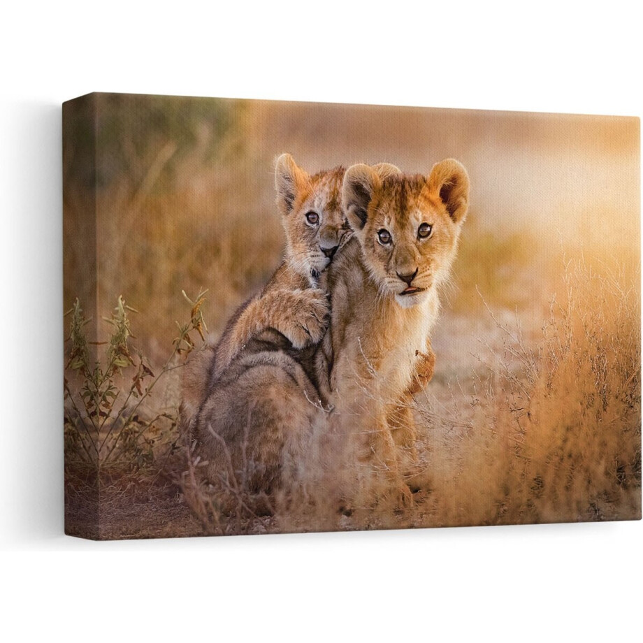 Artaza - Canvas Schilderij - Twee Leeuwen Welpen in het Wild - 30x20 - Klein - Foto Op Canvas - Canvas Print afbeelding 1