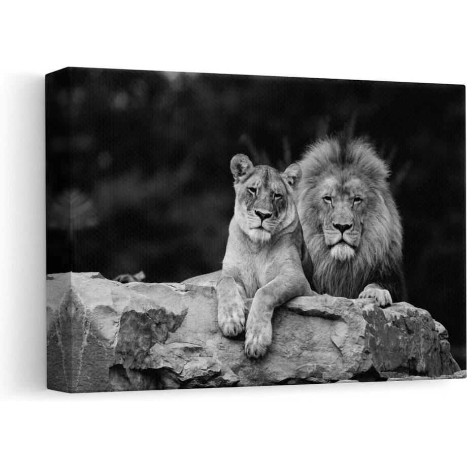 Artaza - Canvas Schilderij - Leeuw en Leeuwin - Liefde Koppel - Zwart Wit - 30x20 - Klein - Foto Op Canvas - Canvas Print afbeelding 1