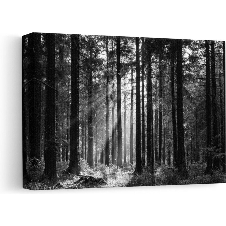 Artaza Canvas Schilderij Bos met Zon tussen de Bomen - Zwart Wit - 30x20 - Klein - Foto Op Canvas - Canvas Print Artaza Canvas Schilderij Bos met Zon tussen de Bomen - Zwart Wit - 30x20 - Klein - Foto Op Canvas - Canvas Print afbeelding 1