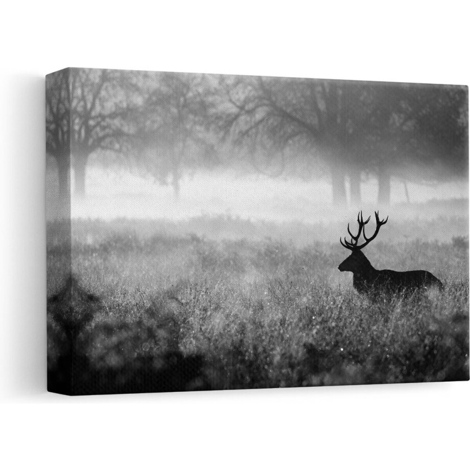 Artaza Canvas Schilderij Hert in het Veld tijdens de Mist - Zwart Wit - 30x20 - Klein - Foto Op Canvas - Canvas Print afbeelding 1