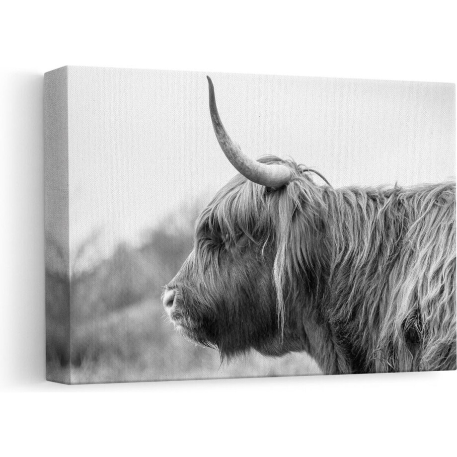 Artaza - Canvas Schilderij - Schotse Hooglander in het Zwart Wit - 30x20 - Klein - Foto Op Canvas - Canvas Print afbeelding 1