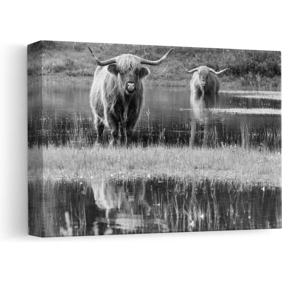 Artaza - Canvas Schilderij - Twee Schotse Hooglanders in het Moeras - Zwart Wit - 30x20 - Klein - Foto Op Canvas - Canvas Print afbeelding 1
