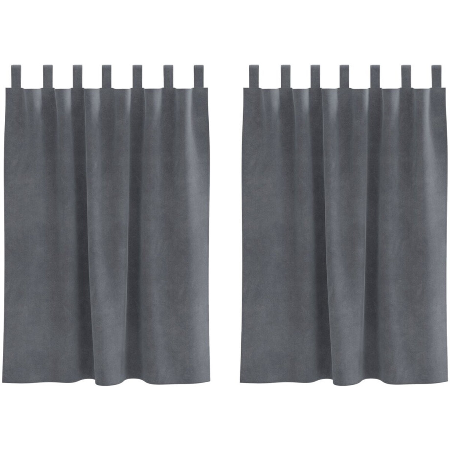 vidaXL - Gordijnen - 2 - st - Lichtgrijs - 140 - x - 140 - cm - fluweel vidaXL - Gordijnen - 2 - st - Lichtgrijs - 140 - x - 140 - cm - fluweel afbeelding 1