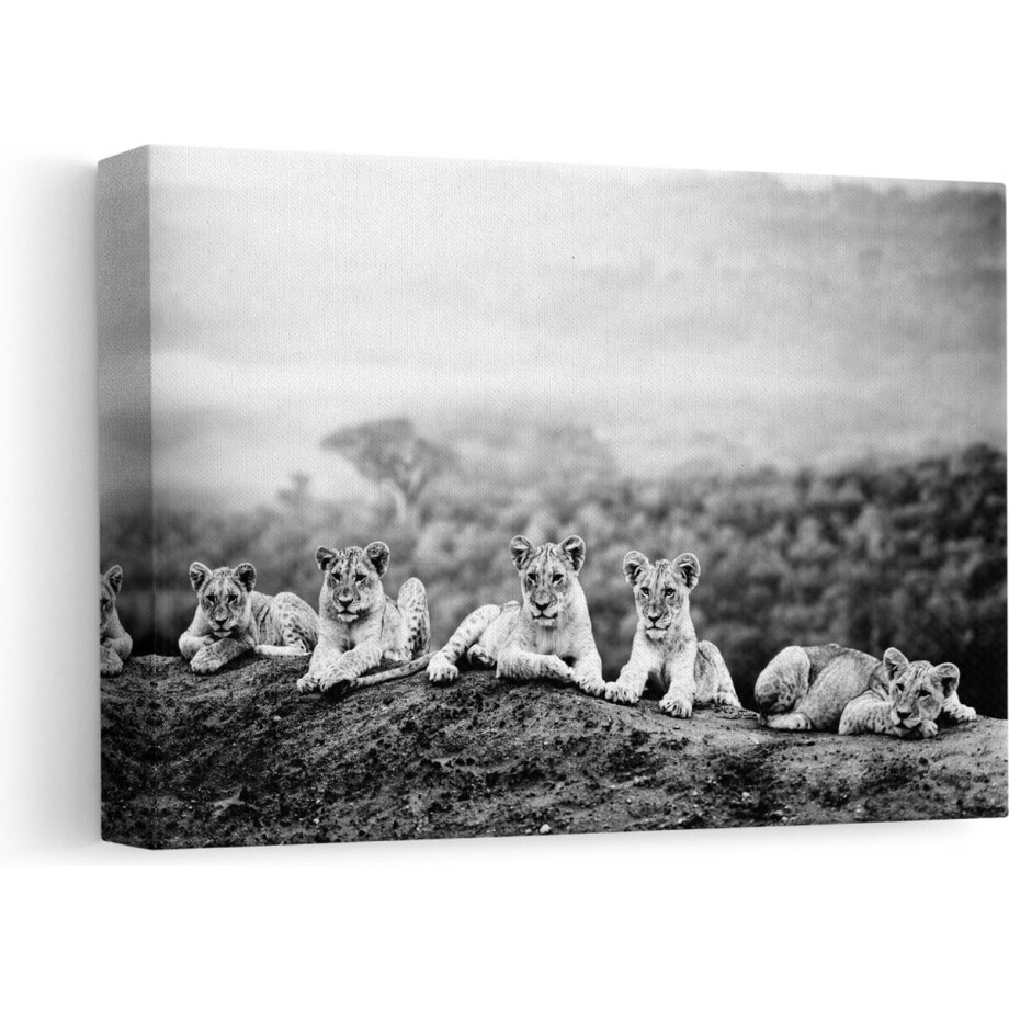 Artaza Canvas Schilderij Groep Welpen in het Wild - Baby Leeuwen - Zwart Wit - 30x20 - Klein - Foto Op Canvas - Canvas Print afbeelding 1