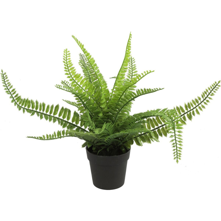 Countryfield Kunstplant Varen Monilophyta plant in bloempot - Groen - 25 x 36 cm afbeelding 1