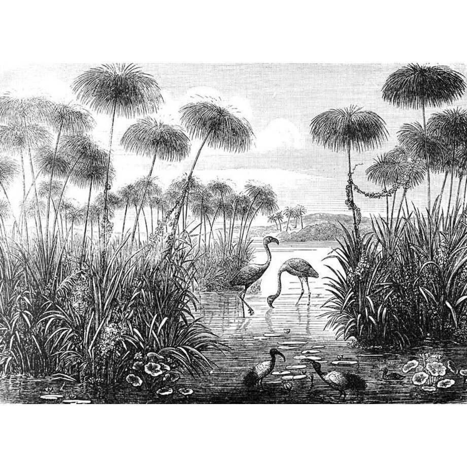 Zwart-witte flamingo uitzicht Canvas 120 x 90 cm Zwart-witte flamingo uitzicht Canvas 120 x 90 cm afbeelding 1