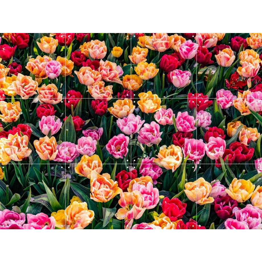 IXXI Keukenhof, Margriet Hulsker - 80 x 60 cm - Gratis ophangtool - Grote wanddecoratie en posters - Fotografie, Kleurrijk, Woonkamer, Eetkamer afbeelding 1