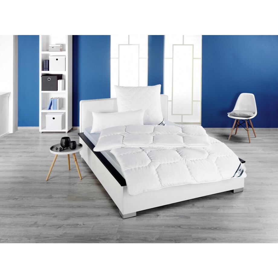 Frankenstolz - All year dekbed enkel - Microvezel - 95°C wasbaar - 260x220 Frankenstolz - All year dekbed enkel - Microvezel - 95°C wasbaar - 260x220 afbeelding 1