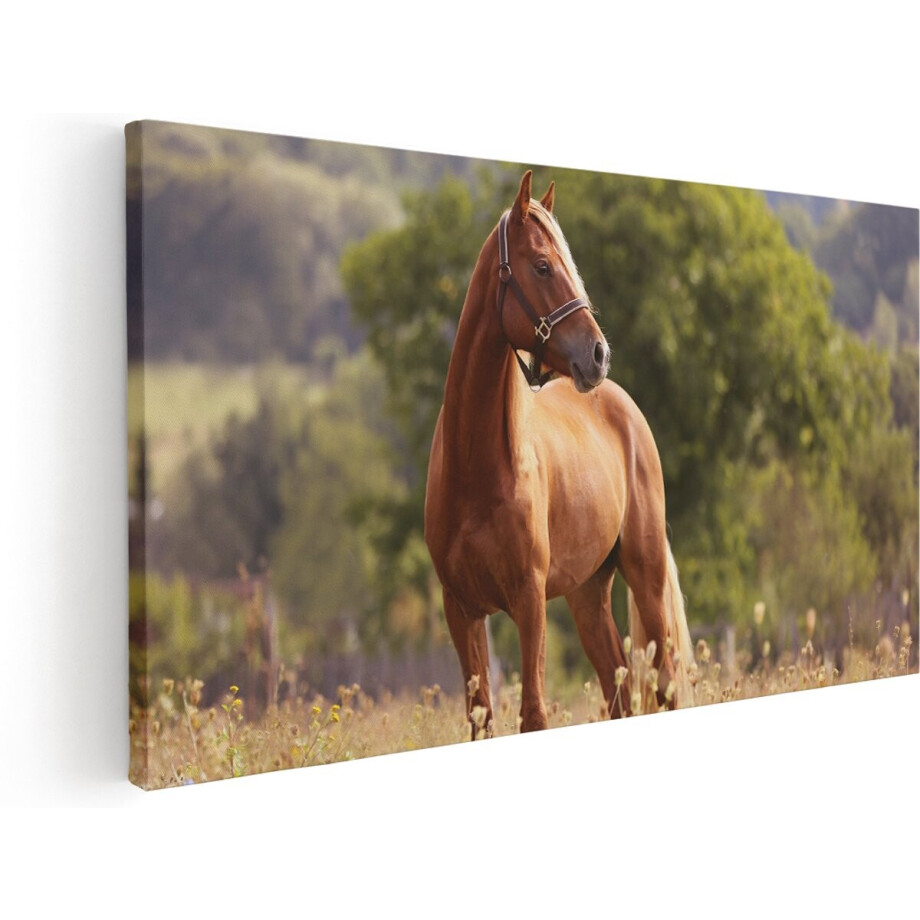 Artaza Canvas Schilderij Bruin Paard In De Wei - 140x70 cm - Groot - Wanddecoratie Woonkamer - Schilderijen - Muurdecoratie afbeelding 1