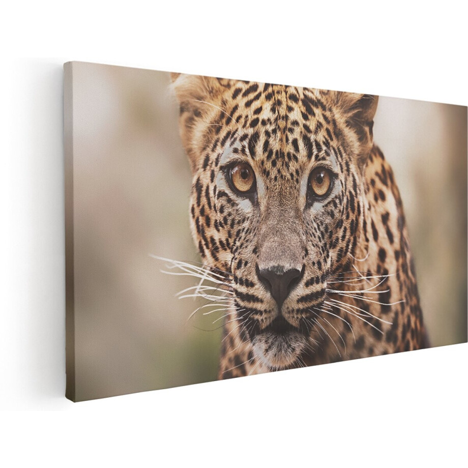 Artaza Canvas Schilderij Luipaard Van Dichtbij Met Grote Ogen - 180x90 cm - Groot - Wanddecoratie Woonkamer - Schilderijen - Muurdecoratie afbeelding 1