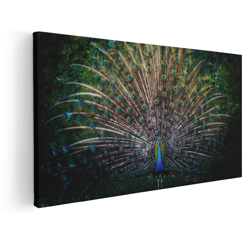 Artaza Canvas Schilderij Pauw Met Kleurrijke Veren - Kleur - 140x70 cm - Groot - Wanddecoratie Woonkamer - Schilderijen - Muurdecoratie afbeelding 1
