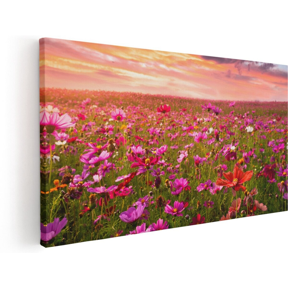 Artaza Canvas Schilderij Kleurrijke Kosmos Bloemenveld - 160x80 cm - Groot - Wanddecoratie Woonkamer - Schilderijen - Muurdecoratie Artaza Canvas Schilderij Kleurrijke Kosmos Bloemenveld - 160x80 cm - Groot - Wanddecoratie Woonkamer - Schilderijen - Muurdecoratie afbeelding 1