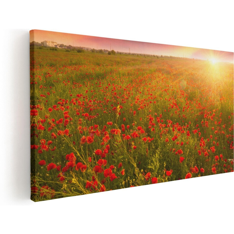 Artaza Canvas Schilderij Rode Klaproos Bloemenveld - Zonsondergang - 100x50 - Groot - Foto Op Canvas - Canvas Print afbeelding 1