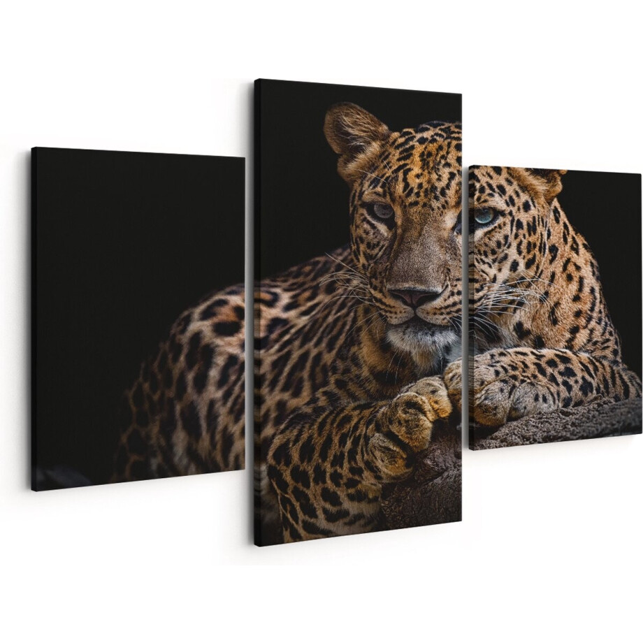 Artaza Canvas Schilderij Drieluik Luipaard Met Blauwe Ogen - 150x120 - Groot - Foto Op Canvas - Canvas Print afbeelding 1