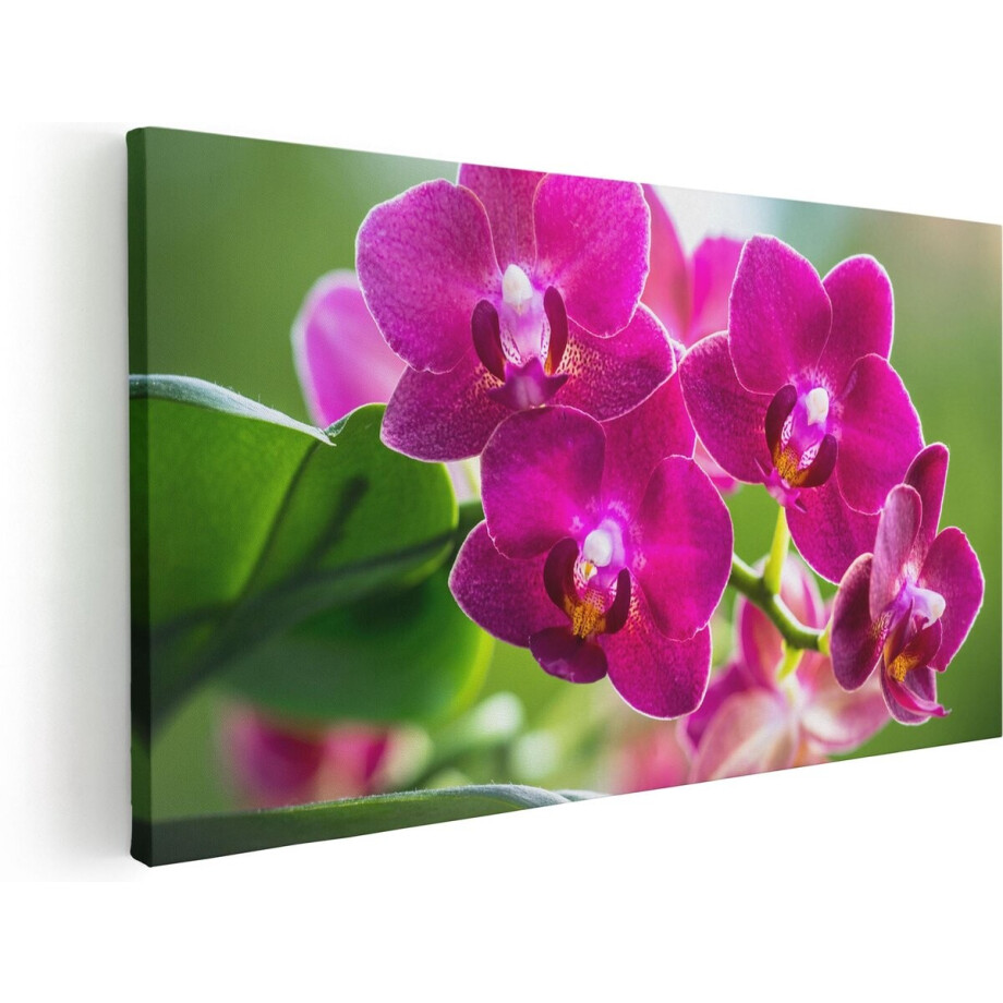 Artaza Canvas Schilderij Roze Orchidee Bloemen - 60x30 - Foto Op Canvas - Canvas Print afbeelding 1