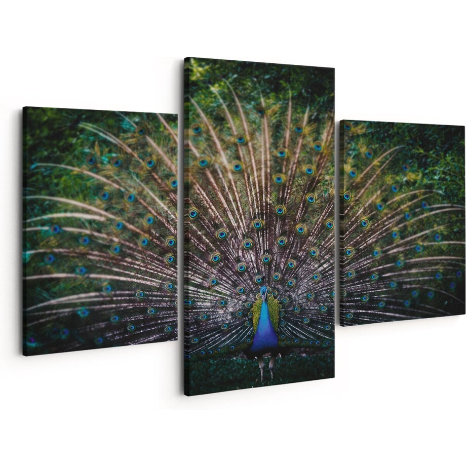 Artaza Canvas Schilderij Drieluik Pauw Met Kleurrijke Veren - Kleur - 150x120 - Groot - Foto Op Canvas - Canvas Print afbeelding 1