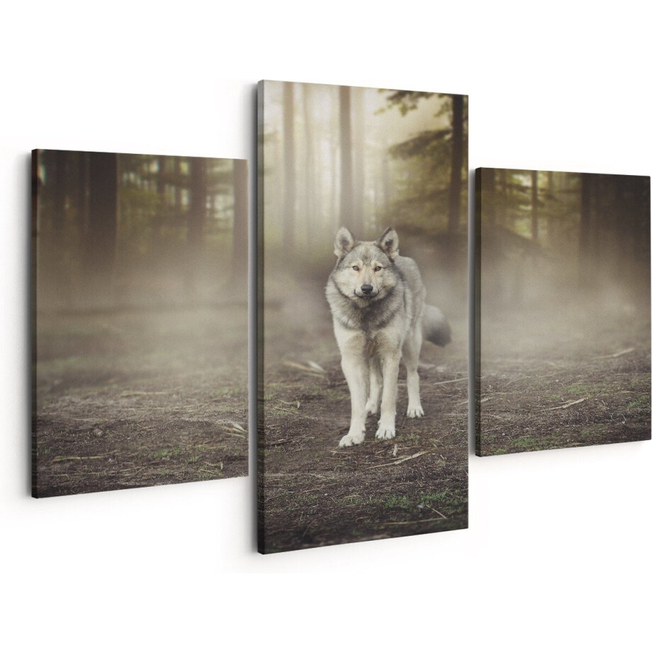Artaza Canvas Schilderij Drieluik Grijze Wolf In Het Bos - 150x120 - Groot - Foto Op Canvas - Canvas Print afbeelding 1