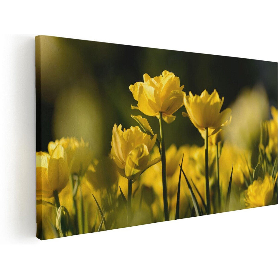 Artaza Canvas Schilderij Gele Tulpen - Bloemen - 80x40 - Foto Op Canvas - Canvas Print afbeelding 1