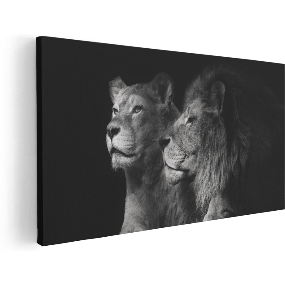 Artaza Canvas Schilderij Leeuw En Leeuwin - Zwart Wit - 100x50 - Groot - Foto Op Canvas - Canvas Print Artaza Canvas Schilderij Leeuw En Leeuwin - Zwart Wit - 100x50 - Groot - Foto Op Canvas - Canvas Print afbeelding 1