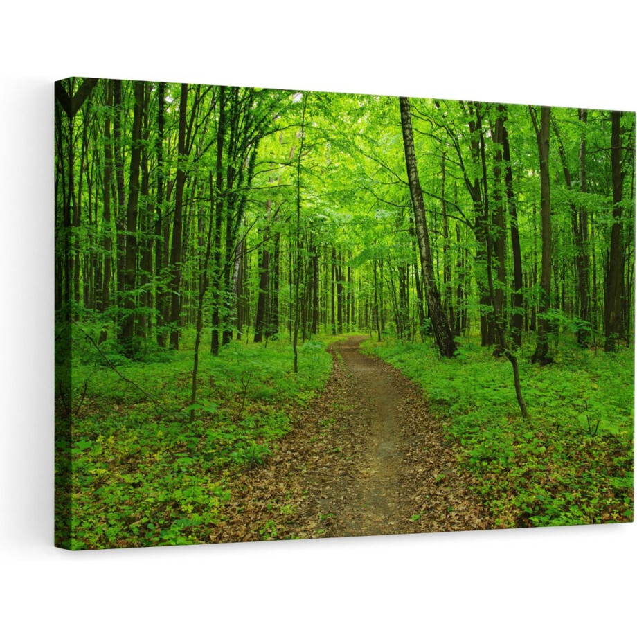 Artaza Canvas Schilderij Voetpad in Groen Bos - 90x60 - Foto Op Canvas - Canvas Print - Muurdecoratie afbeelding 1