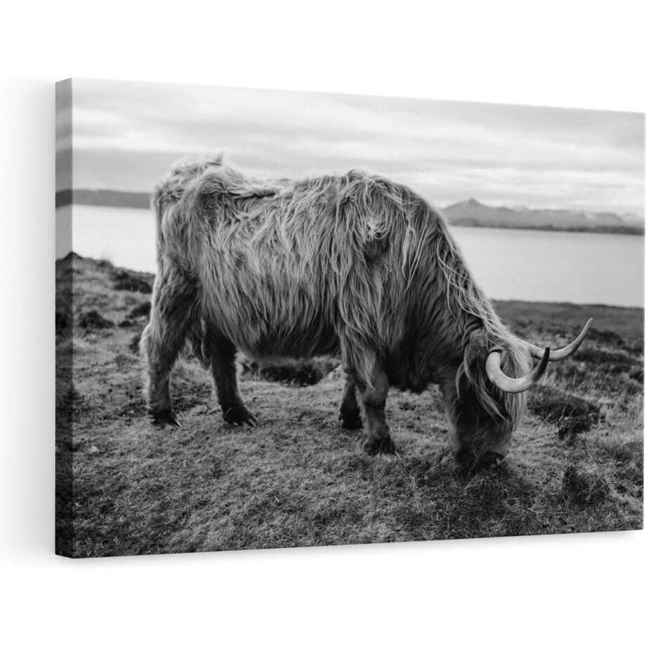 Artaza Canvas Schilderij Schotse Hooglander - 90x60 cm - Wanddecoratie Zwart Wit - Muurdecoratie Woonkamer - Schilderijen Op Canvas Dieren Artaza Canvas Schilderij Schotse Hooglander - 90x60 cm - Wanddecoratie Zwart Wit - Muurdecoratie Woonkamer - Schilderijen Op Canvas Dieren afbeelding 1
