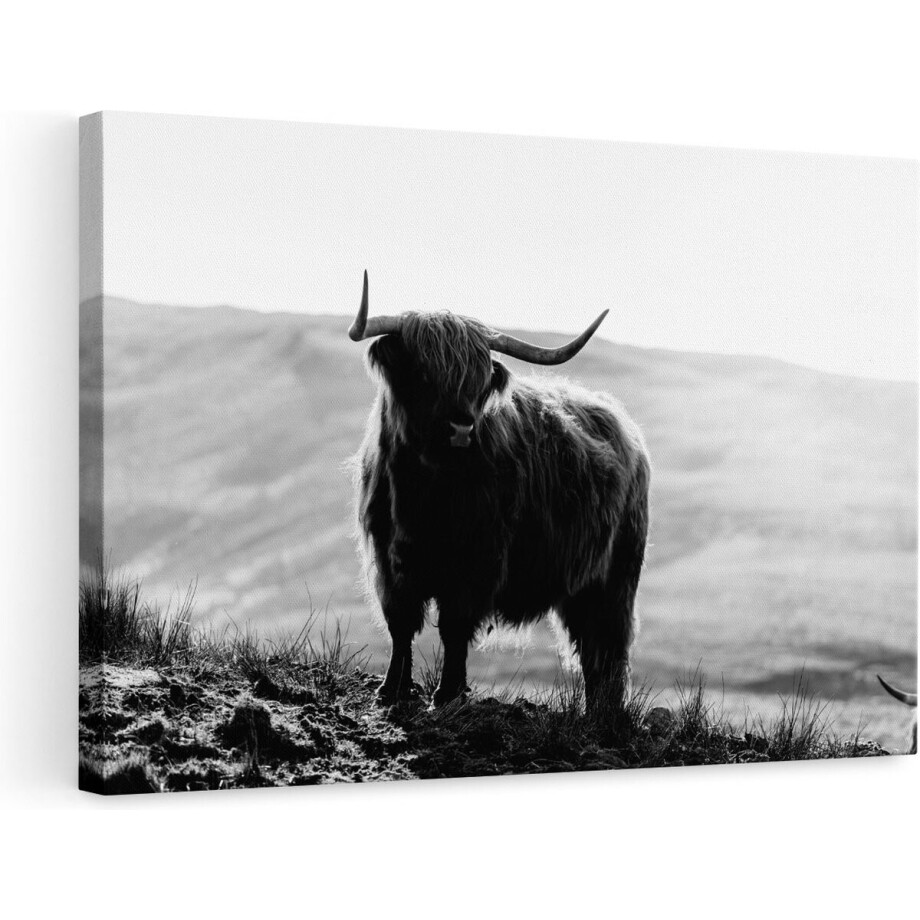 Artaza Canvas Schilderij - Schotse Hooglander in de Heuvels van Schotland - Zwart Wit - 90x60 - Foto Op Canvas - Canvas Print - Muurdecoratie afbeelding 1