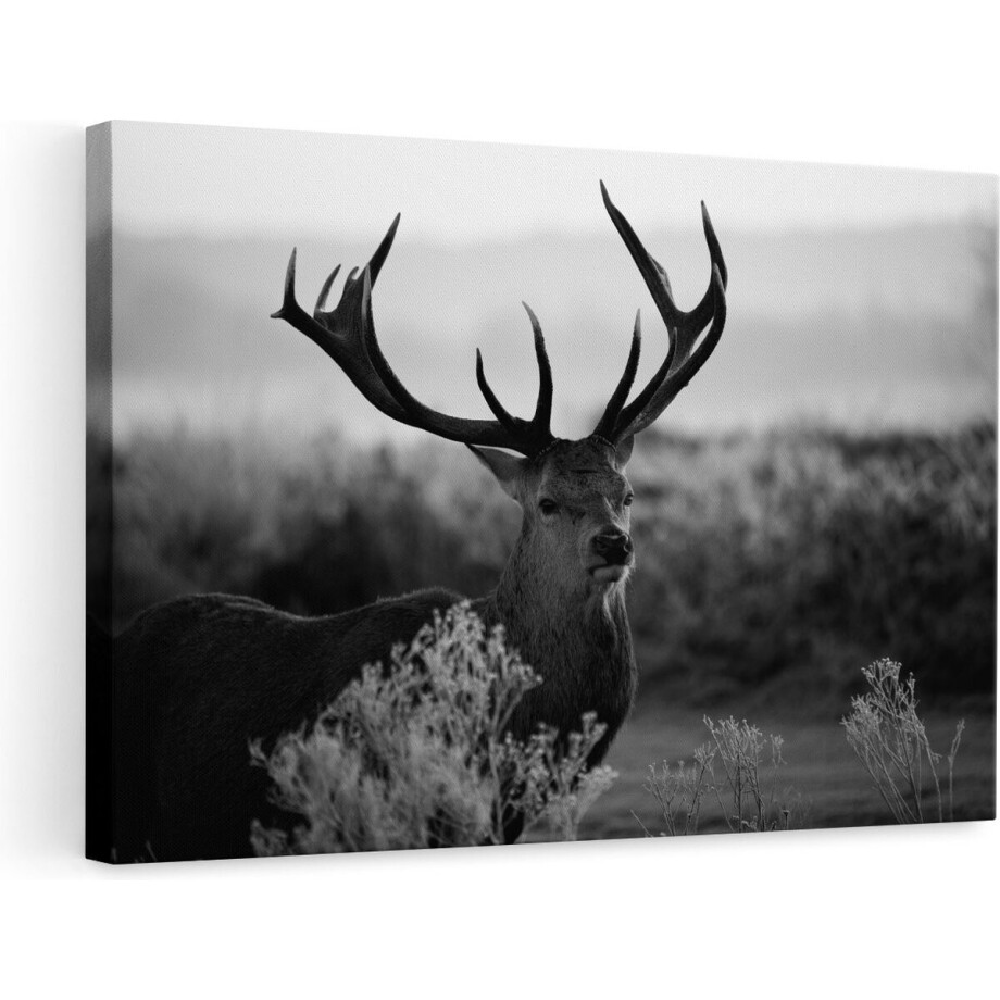 Artaza Canvas Schilderij Hert tijdens de Zonsondergang - Zwart Wit - 90x60 - Foto Op Canvas - Canvas Print - Muurdecoratie afbeelding 1