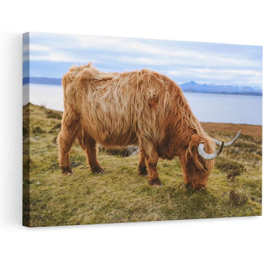 Artaza Canvas Schilderij Schotse Hooglander - 90x60 cm - Wanddecoratie Woonkamer - Muurdecoratie Dieren - Schilderijen Op Canvas Artaza Canvas Schilderij Schotse Hooglander - 90x60 cm - Wanddecoratie Woonkamer - Muurdecoratie Dieren - Schilderijen Op Canvas afbeelding 1