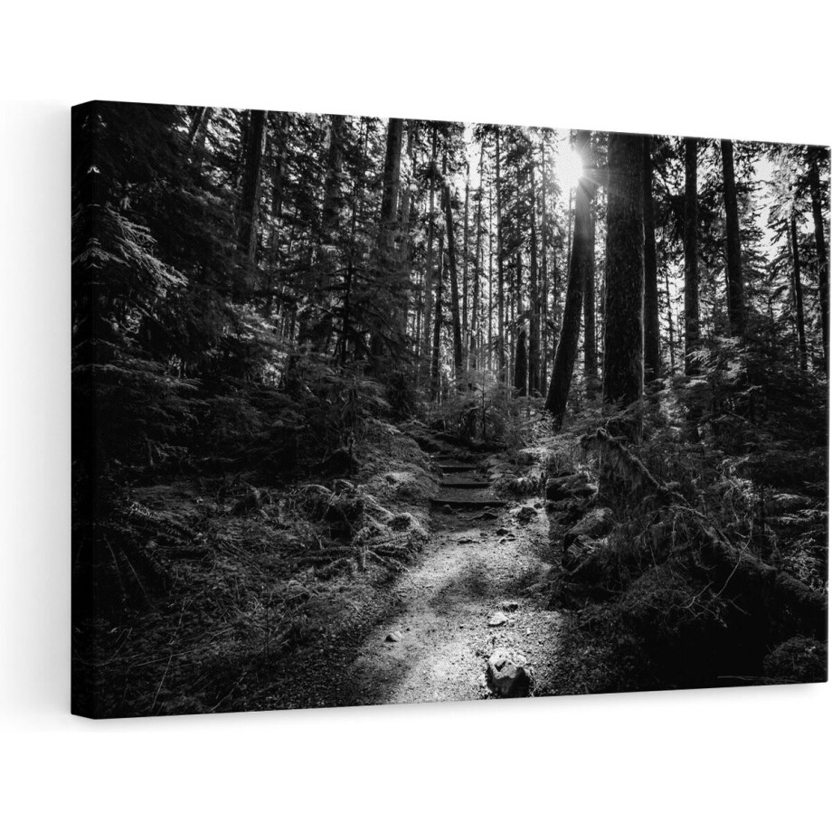 Artaza Canvas Schilderij Voetpad in het Bos - Zwart Wit - 90x60 - Foto Op Canvas - Canvas Print - Muurdecoratie Artaza Canvas Schilderij Voetpad in het Bos - Zwart Wit - 90x60 - Foto Op Canvas - Canvas Print - Muurdecoratie afbeelding 1