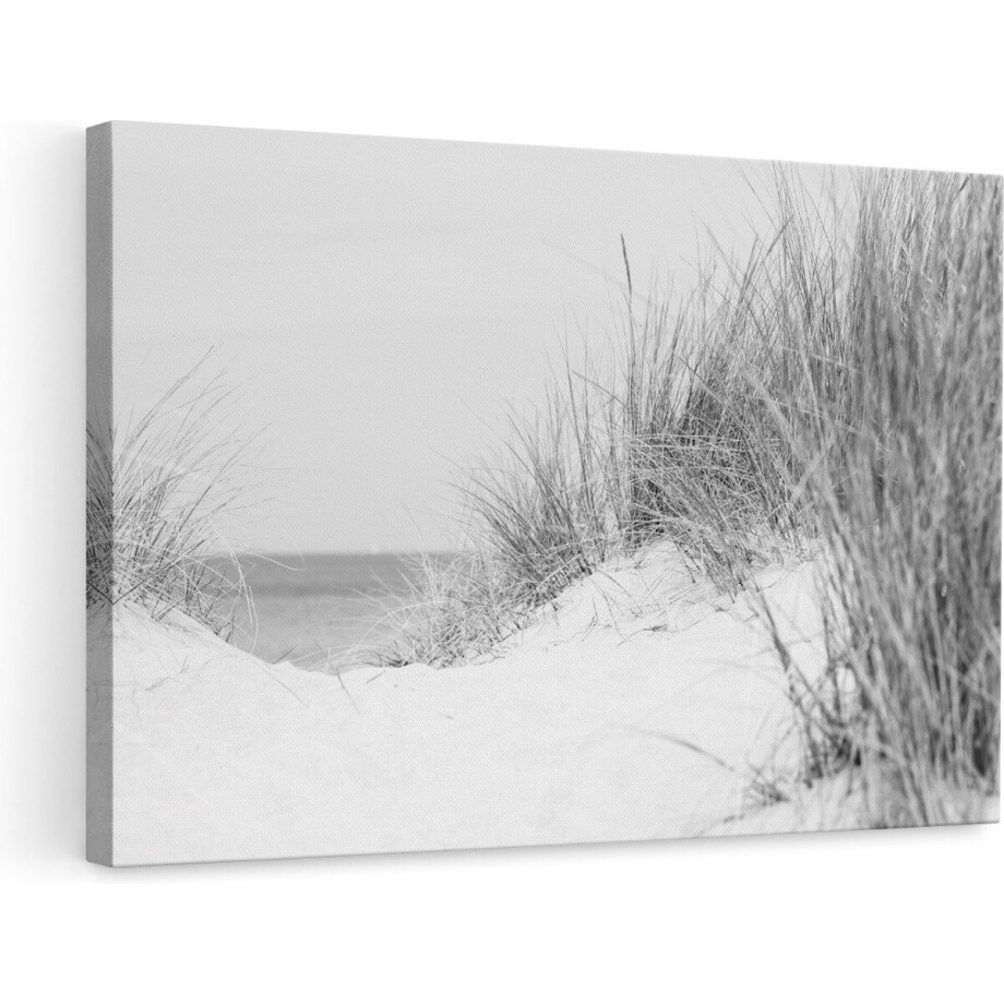 Artaza Canvas Schilderij Duinplanten met Zand en Zee - Duinen - Zwart Wit - 90x60 - Foto Op Canvas - Canvas Print - Muurdecoratie Artaza Canvas Schilderij Duinplanten met Zand en Zee - Duinen - Zwart Wit - 90x60 - Foto Op Canvas - Canvas Print - Muurdecoratie afbeelding 1