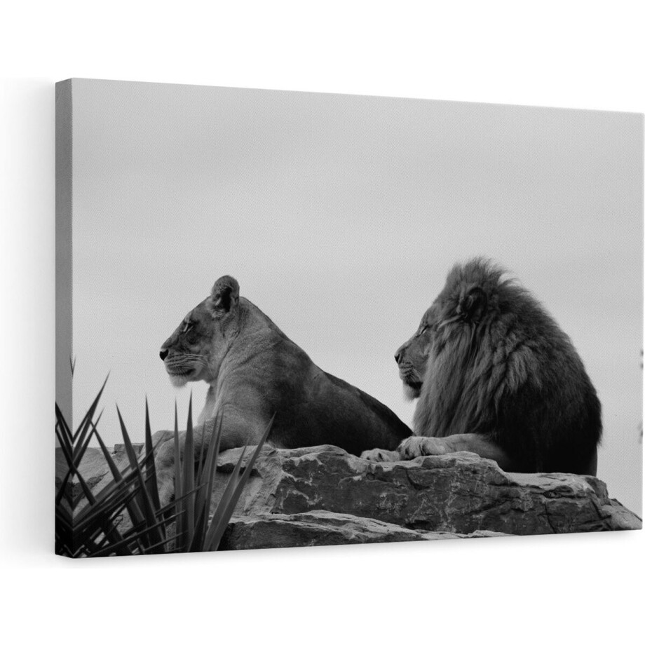 Artaza Canvas Schilderij Leeuw en Leeuwin op een Rots - Zwart Wit - 90x60 - Foto Op Canvas - Canvas Print - Muurdecoratie afbeelding 1