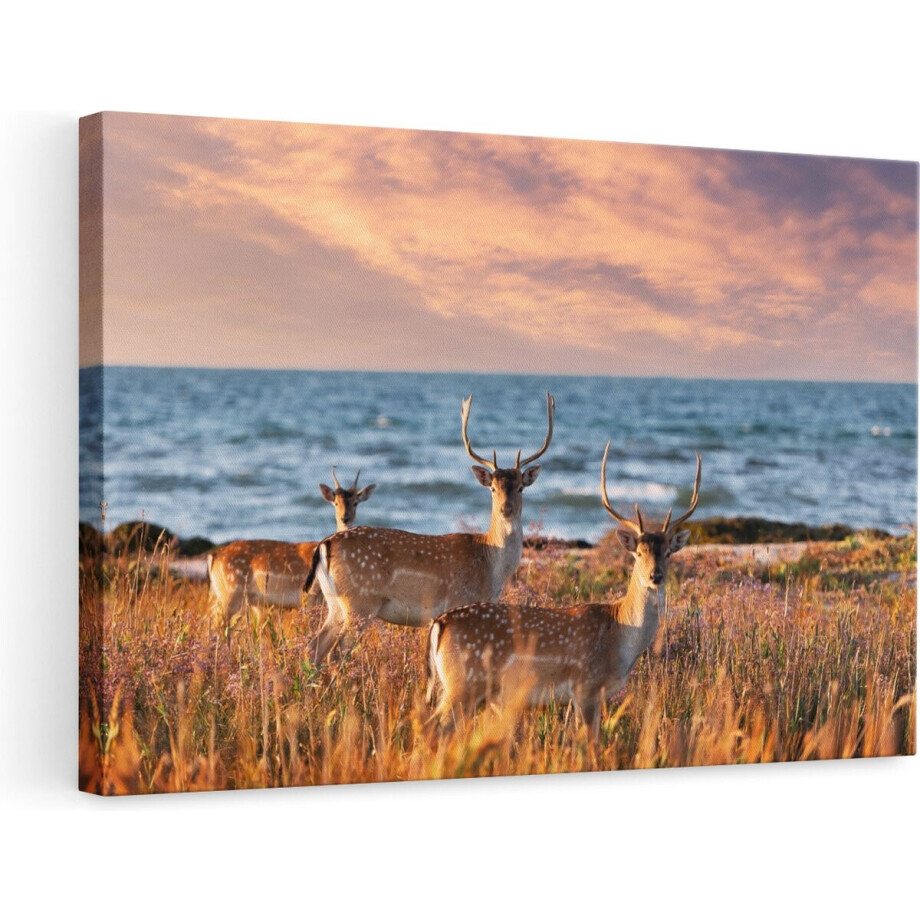 Artaza Canvas Schilderij Herten - 90x60 cm - Wanddecoratie Dieren - Muurdecoratie Strand - Schilderijen Op Canvas Artaza Canvas Schilderij Herten - 90x60 cm - Wanddecoratie Dieren - Muurdecoratie Strand - Schilderijen Op Canvas afbeelding 1