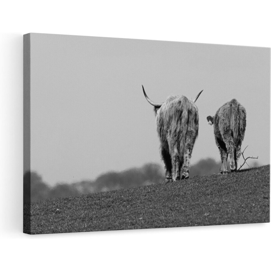 Artaza Canvas Schilderij - Twee Schotse Hooglanders Koeien Lopen Weg - Zwart Wit - 90x60 - Foto Op Canvas - Canvas Print - Muurdecoratie Artaza Canvas Schilderij - Twee Schotse Hooglanders Koeien Lopen Weg - Zwart Wit - 90x60 - Foto Op Canvas - Canvas Print - Muurdecoratie afbeelding 1