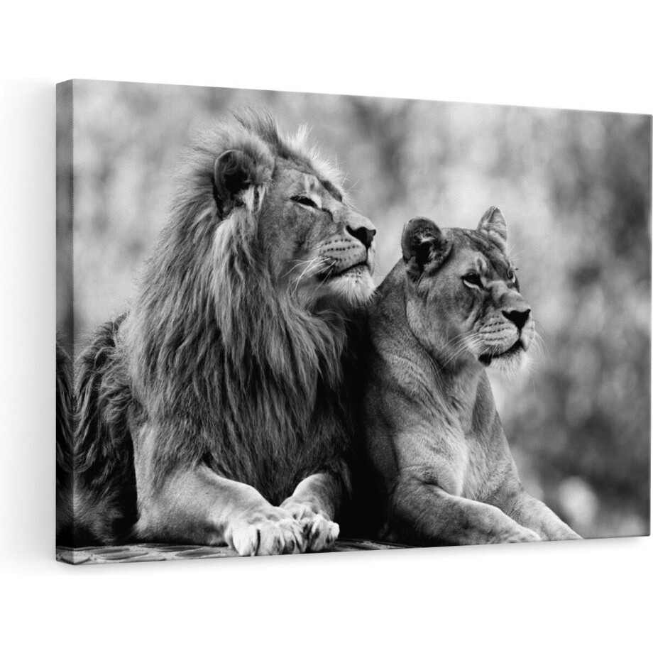 Artaza Canvas Schilderij Leeuw en Leeuwin in het Groene Wild - Zwart Wit - 90x60 cm - Wanddecoratie Woonkamer - Schilderijen - Muurdecoratie afbeelding 1