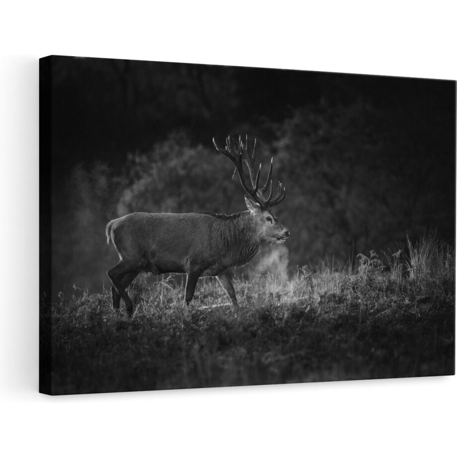 Artaza Canvas Schilderij Hert - 90x60 cm - Wanddecoratie Gewei - Muurdecoratie Bos - Schilderijen Op Canvas afbeelding 1