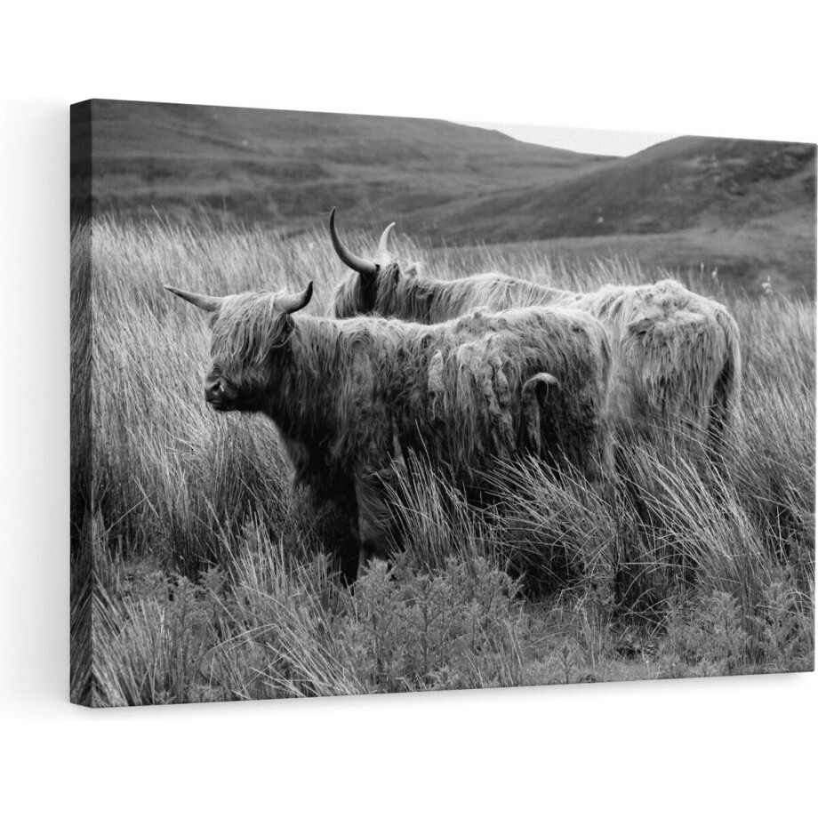 Artaza Canvas Schilderij - Twee Schotse Hooglanders in het Heuvelvelachtige Veld - Zwart Wit - 90x60 - Foto Op Canvas - Canvas Print - Muurdecoratie Artaza Canvas Schilderij - Twee Schotse Hooglanders in het Heuvelvelachtige Veld - Zwart Wit - 90x60 - Foto Op Canvas - Canvas Print - Muurdecoratie afbeelding 1