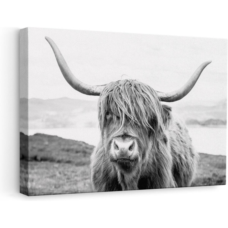 Artaza - Canvas Schilderij - Schotse Hooglander in het Zwart Wit - 60x40 - Foto Op Canvas - Canvas Print afbeelding 1
