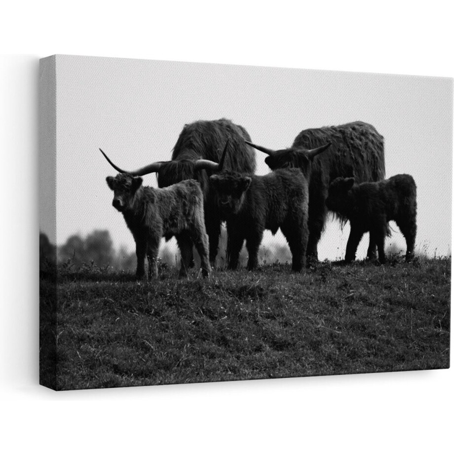 Artaza - Canvas Schilderij - Schotse Hooglander Familie - Zwart Wit - 60x40 - Foto Op Canvas - Canvas Print afbeelding 1