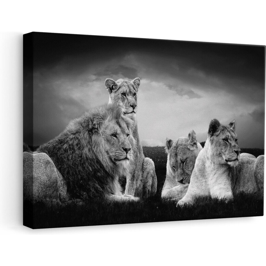 Artaza Canvas Schilderij Leeuw - 60x40 cm - Wanddecoratie Leeuwenfamilie - Muurdecoratie Dieren - Schilderijen Zwart Wit afbeelding 1