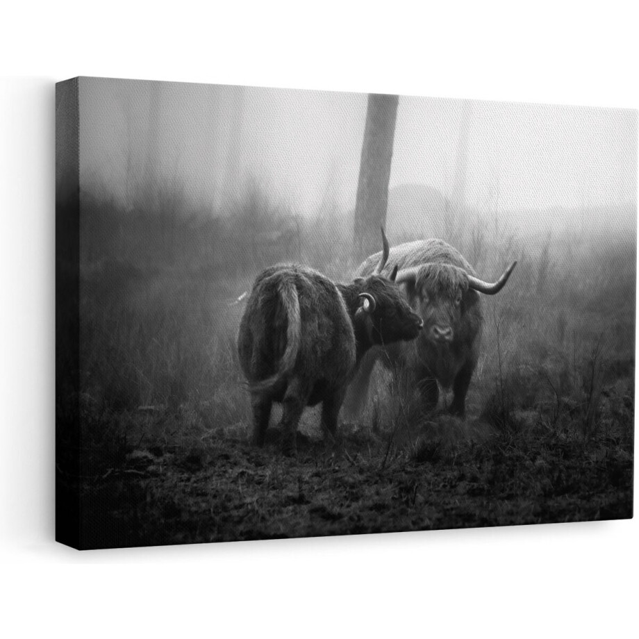Artaza - Canvas Schilderij - Twee Schotse Hooglanders in de Mist - Zwart Wit - 60x40 - Foto Op Canvas - Canvas Print afbeelding 1