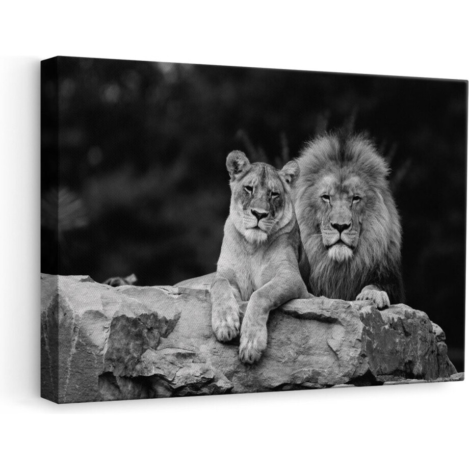 Artaza - Canvas Schilderij - Leeuw en Leeuwin - Liefde Koppel - Zwart Wit - 60x40 - Foto Op Canvas - Canvas Print Artaza - Canvas Schilderij - Leeuw en Leeuwin - Liefde Koppel - Zwart Wit - 60x40 - Foto Op Canvas - Canvas Print afbeelding 1