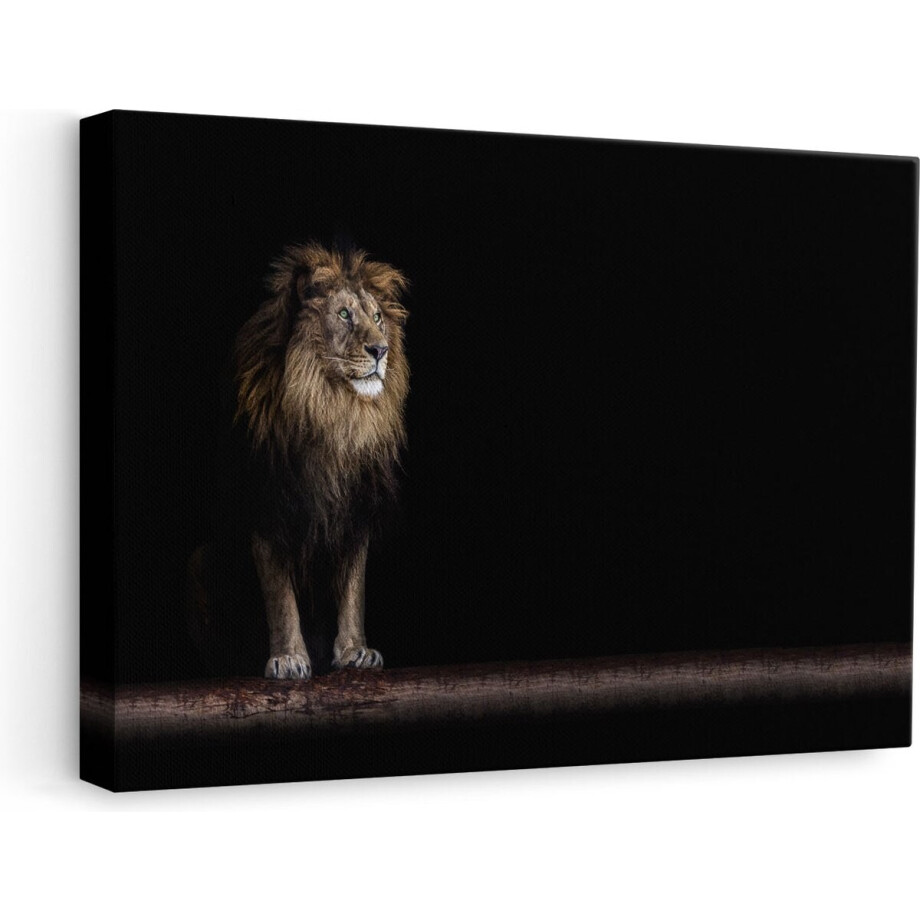 Artaza Canvas Schilderij Leeuw - 60x40 cm - Wanddecoratie Dieren - Muurdecoratie Woonkamer - Schilderijen Op Canvas afbeelding 1