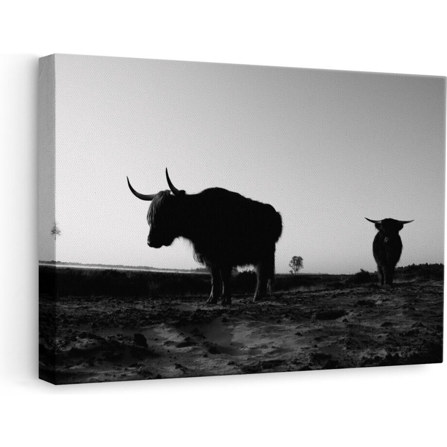 Artaza - Canvas Schilderij - Twee Schotse Hooglanders op het Strand - Zwart Wit - 60x40 - Foto Op Canvas - Canvas Print afbeelding 1
