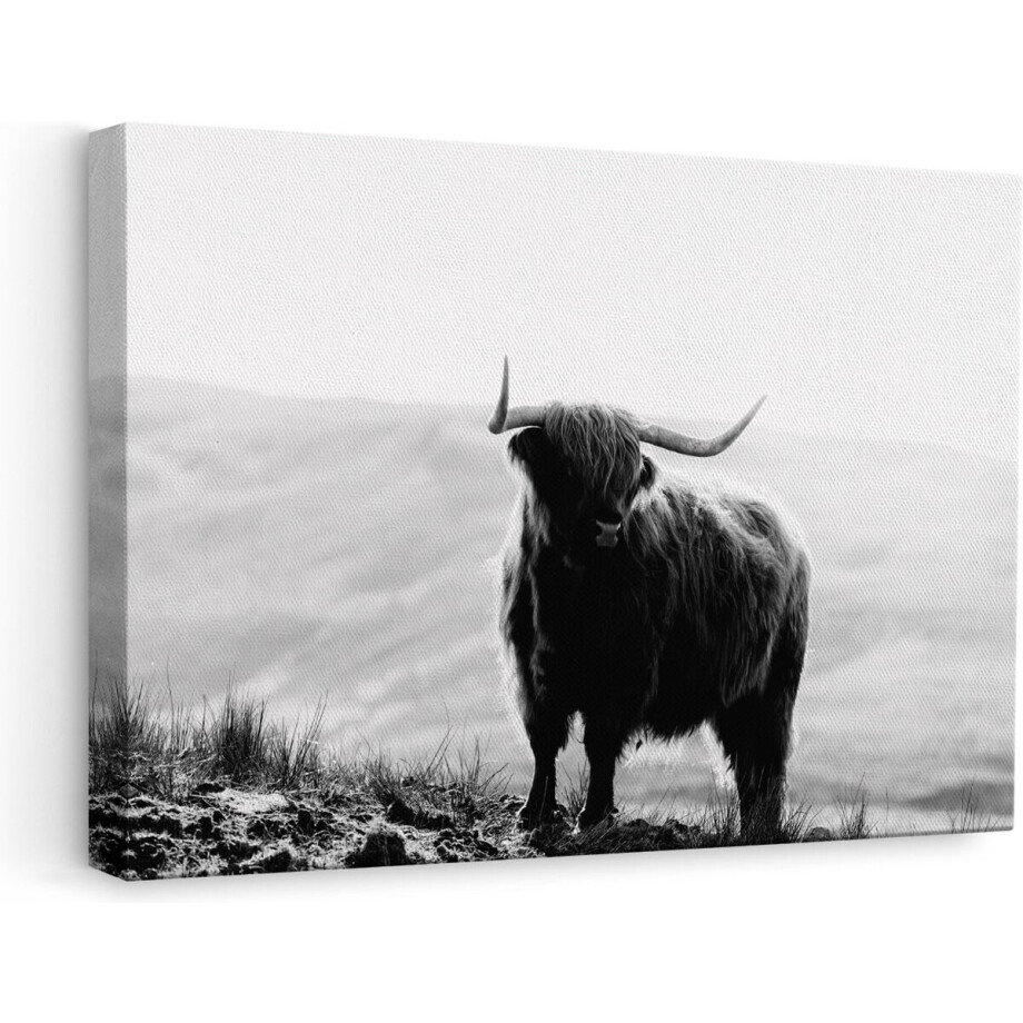 Artaza Canvas Schilderij Schotse Hooglander - 60x40 cm - Wanddecoratie Woonkamer - Muurdecoratie Dieren - Zwart Wit afbeelding 1
