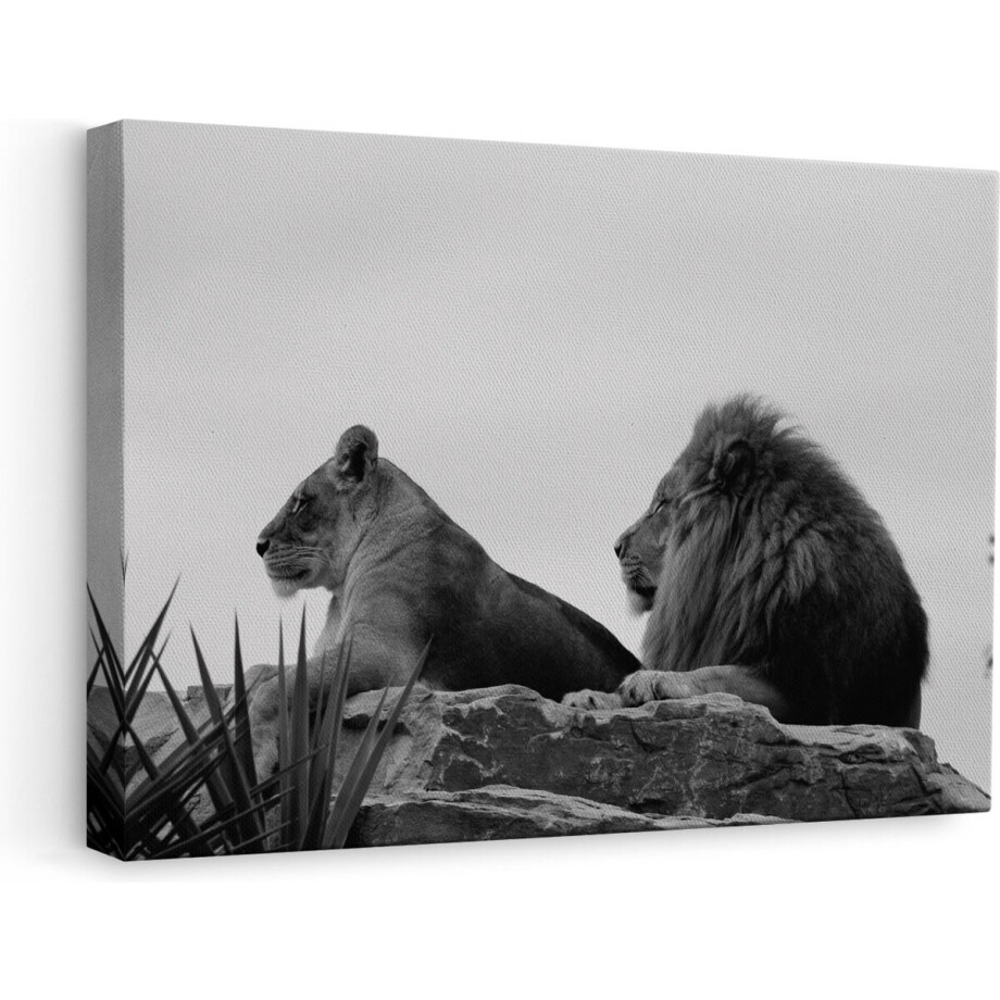 Artaza Canvas Schilderij Leeuw en Leeuwin op een Rots - Zwart Wit - 60x40 - Foto Op Canvas - Canvas Print afbeelding 1