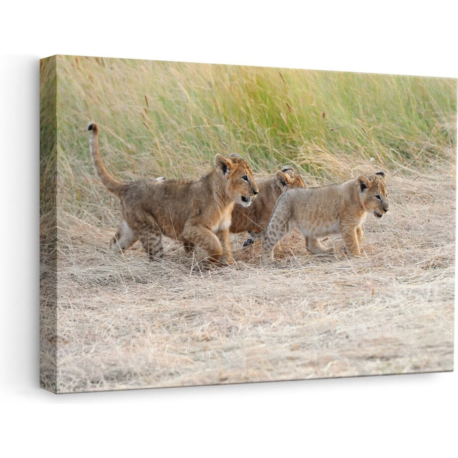 Artaza Canvas Schilderij Leeuw - 60x40 cm - Wanddecoratie Dieren - Muurdecoratie Woonkamer - Schilderijen Op Canvas afbeelding 1