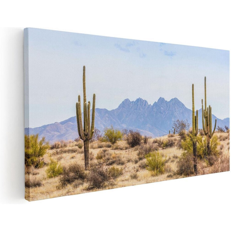 Artaza Canvas Schilderij Cactussen in de Woestijn - 60x30 - Foto Op Canvas - Canvas Print afbeelding 1